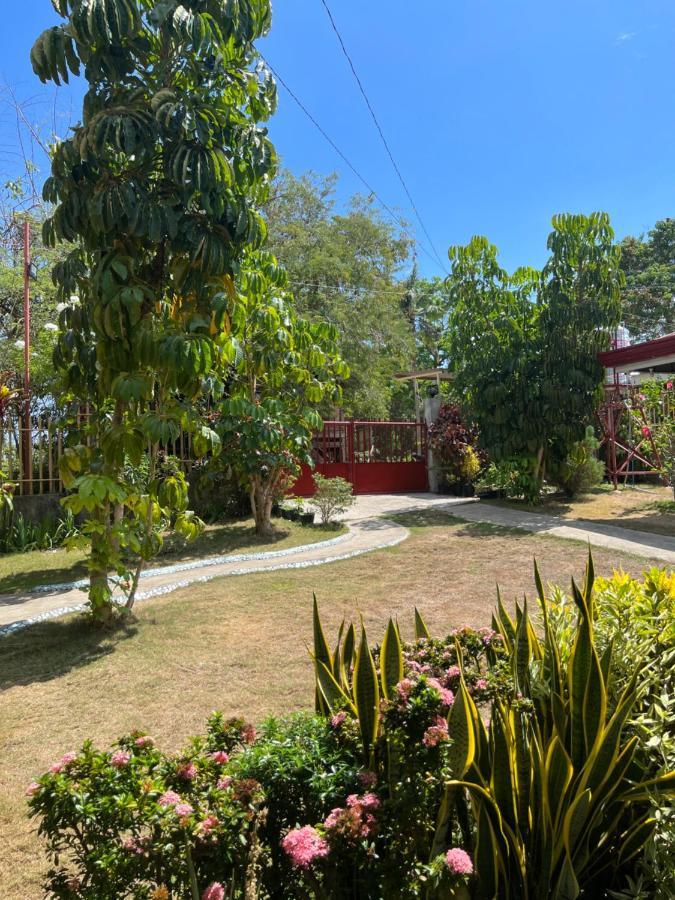 Uptown Guesthouse Đảo Đảo Siquijor Ngoại thất bức ảnh